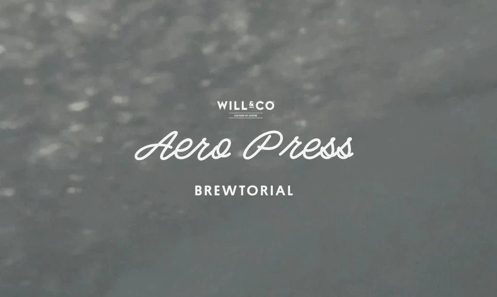 AEROPRESS - Will & Co Coffee